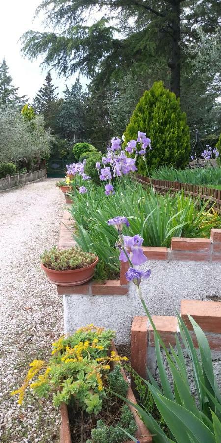 I Pini House Vila Magione Exterior foto
